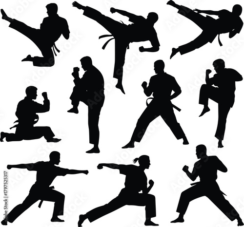 Martial arts silhouette, fighting pose collection, black athlete icons, karate kick design, taekwondo stance, kung fu motion, combat illustration