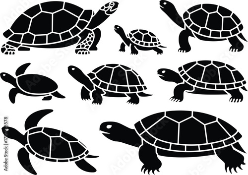 Turtle tortoise silhouette, reptile pose collection, black animal icons, shell shape artwork, swimming motion design, wildlife graphic, nature illustration