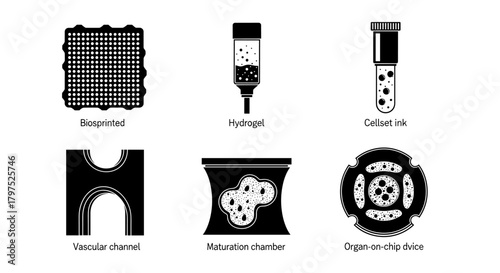 Innovative biotechnology tools for research and development including bioprinted scaffolds, hydrogels, cellset ink, organ on chip devices, and vascular channels.