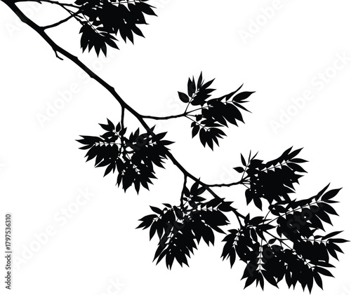 Wallpaper Mural Silhouette of tree branches with leaves against a white background creating a stark contrast view Torontodigital.ca