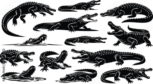 A collection of stylized black and white alligator illustrations in various poses and perspectives