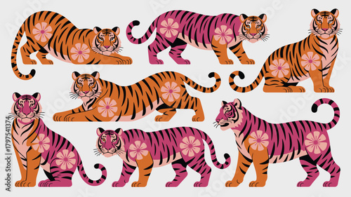 Illustrated Tigers in Orange and Pink with Floral Details, Various Poses on White Background