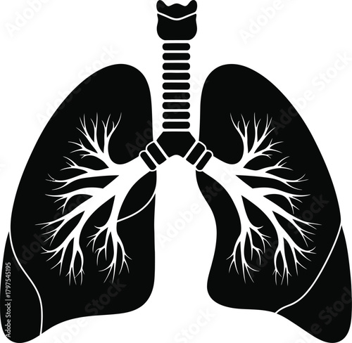 Black silhouette of human lungs and trachea showing branching bronchioles and airways on a white background