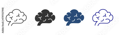 Brain Icon Set. Designed In Multi Style