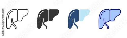 Liver Icon Set. Designed In Multi Style