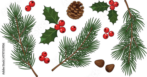 Christmas Winter Holiday Elements Vector Collection with Pine Branches, Holly Berries, and Pine Cone, Excellent for Festive Decoration and Greeting Cards.