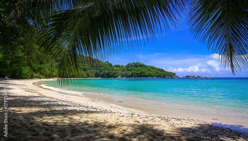 Fototapeta Naklejka Na Ścianę i Meble -  Idyllic sandy beach at Bloody Bay, surrounded by palm leaves and greenery, a tranquil tropical setting for relaxation