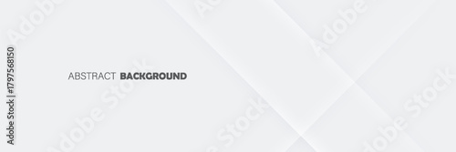 abstract white background with gradient color and artistic dynamic line decoratio. Abstract white wave background with smooth curves. vector, modern