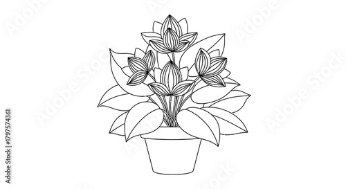 Flower pot coloring page printable floral outline illustration
