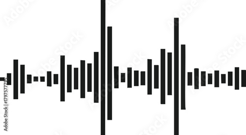 Abstract Black and White Audio Waveform Illustration