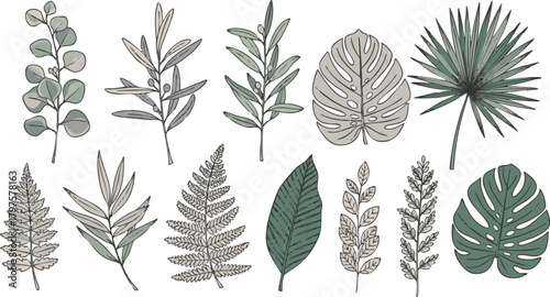 Collection of diverse botanical illustrations featuring assorted foliage in muted green and beige tones