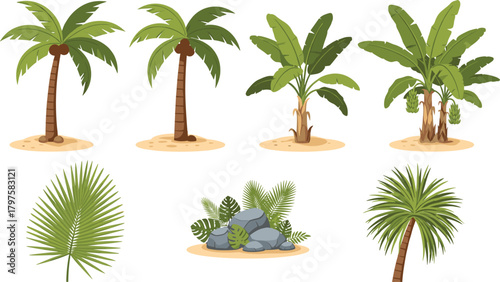 Colorful vector set of various tropical palm and banana trees, featuring large leaves, rocky beach elements, and coconut clusters, ideal for tropical vacation, exotic nature, and jungle scenery illust