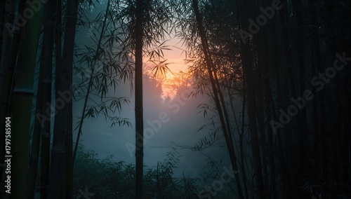 Natural Bamboo Protection, ...