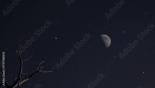 Saturn illuminated in the n...