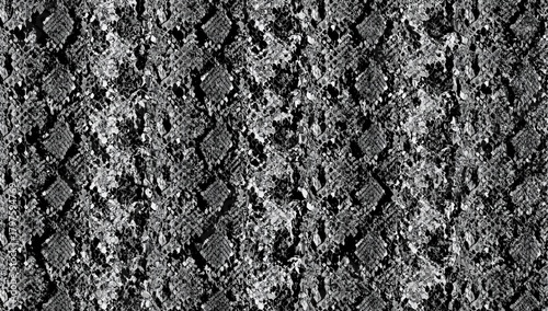 Monochrome snake skin patte...