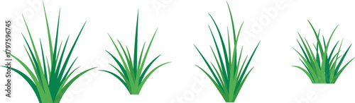 Grass clump illustration set, stylized botanical vector, green blades with shading, nature clipart, landscape design elements, isolated on white