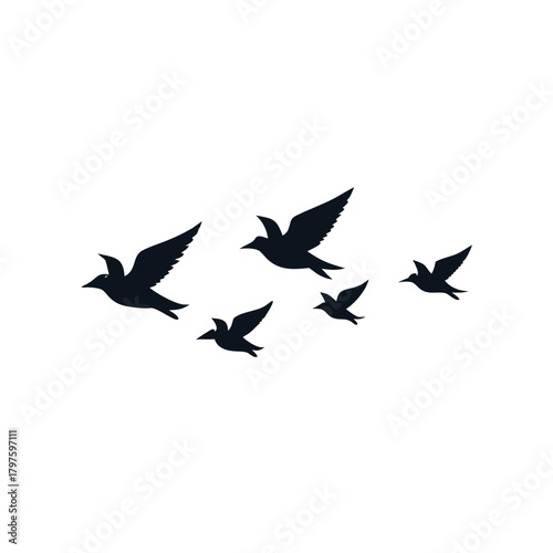 silhouette of a flock of birds