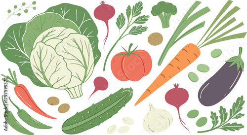 Watercolor painted collection of vegetables. Fresh colorful veggies background. A detailed watercolor illustration featuring a variety of fresh vegetables arranged separately on a clean white backgrou