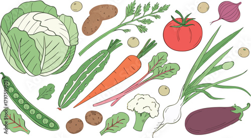 Watercolor painted collection of vegetables. Fresh colorful veggies background. A detailed watercolor illustration featuring a variety of fresh vegetables arranged separately on a clean white backgrou