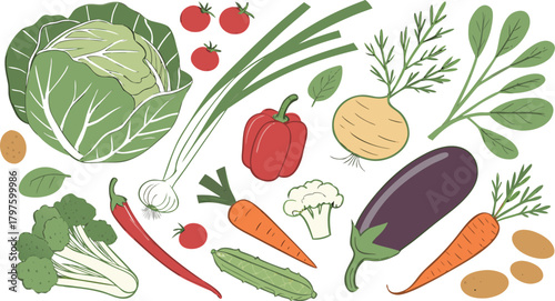 Watercolor painted collection of vegetables. Fresh colorful veggies background. A detailed watercolor illustration featuring a variety of fresh vegetables arranged separately on a clean white backgrou