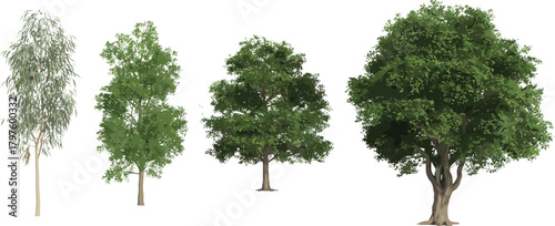 Realistic assorted tree illustration set with detailed green foliage, natural landscape elements, forest vegetation, botanical garden plants, outdoor nature design graphics