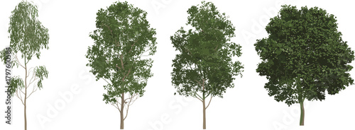 Realistic deciduous tree illustration set with detailed green foliage, natural landscape elements, botanical garden vegetation, forest nature graphics, outdoor environmental design