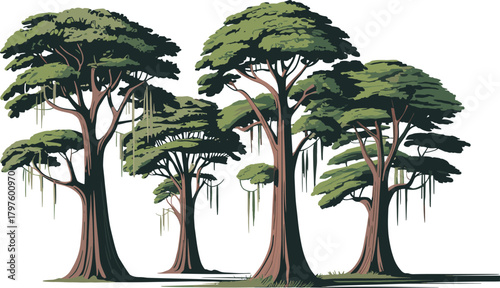 Tall tree illustration set, stylized botanical vector, broad canopies and hanging moss, nature clipart, forest design elements, isolated on white