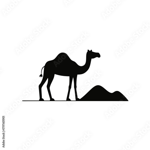 camel on the beach