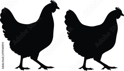 Two black chicken silhouettes side by side on white background fowl bird