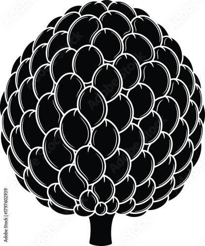 Black and white illustration of a custard apple fruit with white outlines graphic