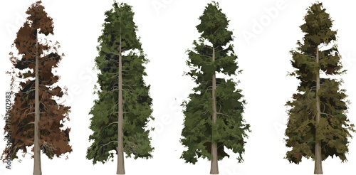 Tree illustration set, stylized botanical vector, seasonal foliage variation, green and brown leaves, nature clipart, forest design elements, isolated