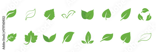 Set of leaf icons, natural ecology elements, green leaves, environment, and natural ecology signs. Leaves on a transparent background. Vector illustration.