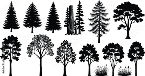 PrintBlack tree silhouettes collection featuring diverse forest trees, botanical elements, nature shapes, evergreen pines, deciduous foliage, detailed vector illustration design set