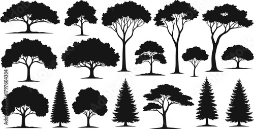 PrintBlack tree silhouette collection featuring diverse forest trees, natural landscape elements, detailed vector illustration set showcasing various deciduous and evergreen botanical designs