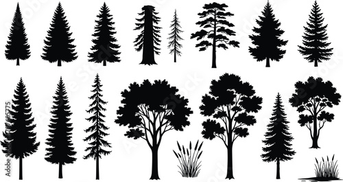 PrintCollection of detailed tree silhouettes featuring pine, fir and deciduous trees, forest elements, botanical vector graphics for nature design, illustration projects