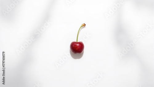 Top view of a single fresh ...