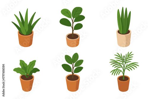 Collection of different green houseplants in terracotta pots viewed from an isometric perspective