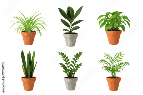 Collection of six popular green potted houseplants isolated on a white background