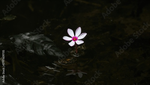 A vivid spring flower surro...