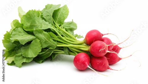 Vibrant organic radish bunc...
