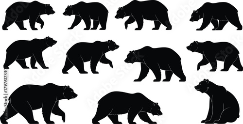 PrintSilhouette bear collection showing various walking and sitting poses, wildlife illustration, forest animal movement, natural behavior, black bear artwork design