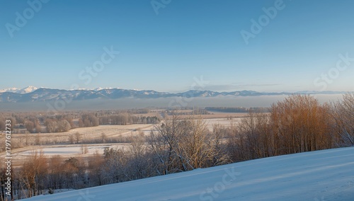 Winter landscape featuring ...