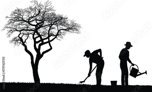 Silhouette of gardeners working under tree, man digging soil and another watering plants, outdoor farming scene in nature