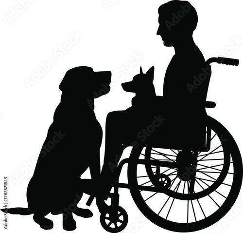 Silhouette of wheelchair user bonding with loyal dogs in supportive companionship scene, emotional connection and caring interaction outdoors