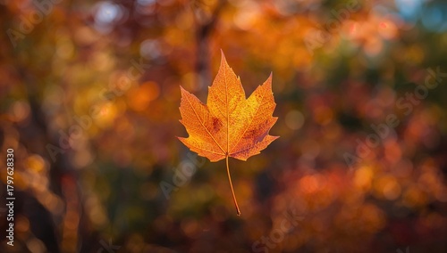 Autumn Leaf - Natural Outdo...