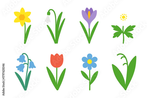 Colorful spring flowers set including daffodil, tulip, crocus, and snowdrop in flat style