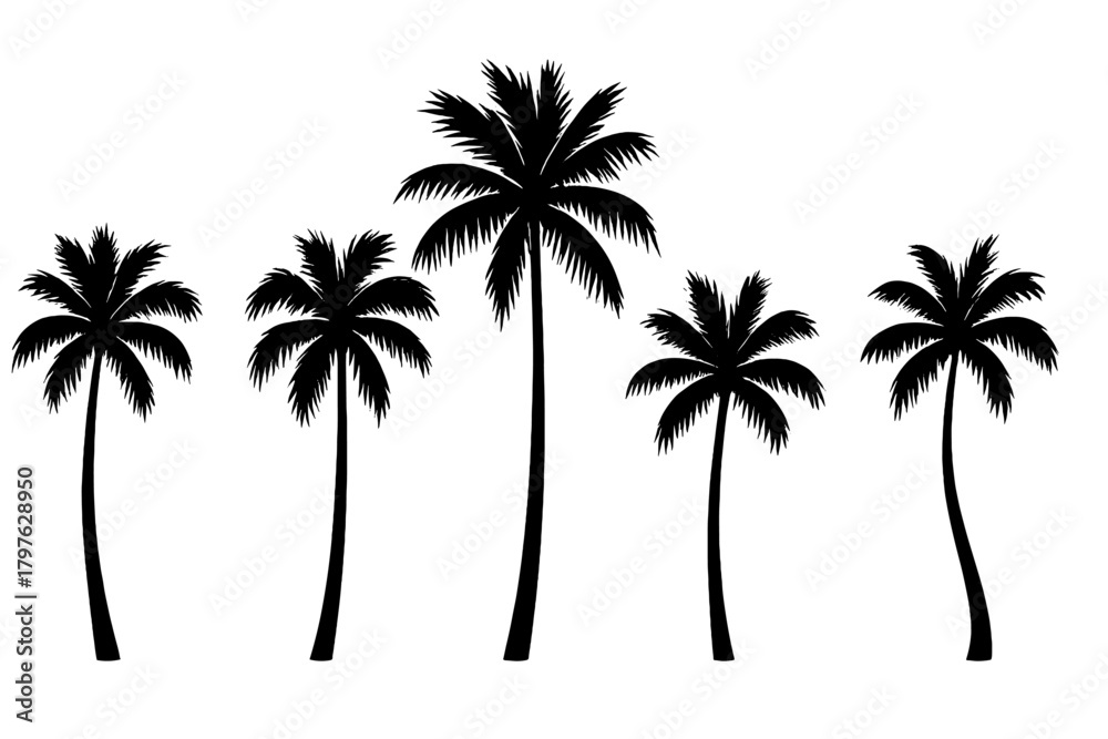Obraz premium Five tropical palm tree silhouettes standing tall against a bright white background