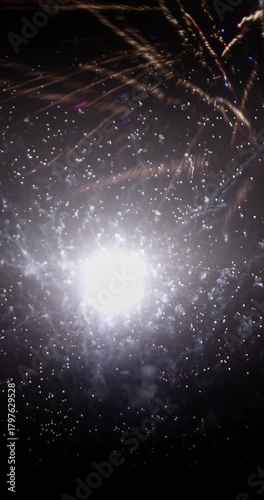 New Year’s Eve Fireworks Show at Midnight |   4k, 12 Bit Braw Source Vertical Video