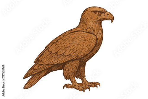 Majestic brown eagle bird of prey standing in profile view with detailed feather texture