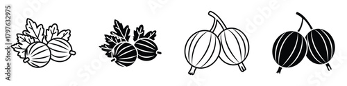 Gooseberry icon in linear and clipart style pack on white background.